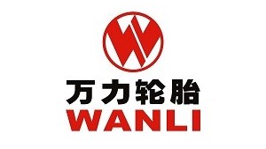 萬力輪胎-上海珍義